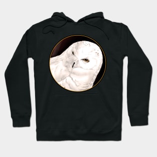 Hedwig Hoodie